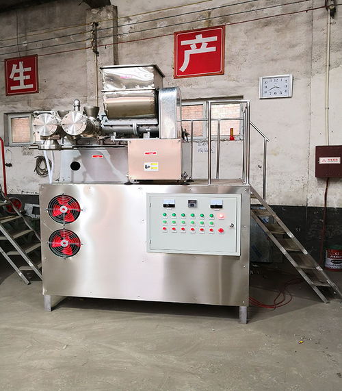 保山市多功能米线机性价比出众源头直供厂家 巩义国铭机械